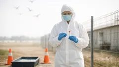 Vogelgrippe H5N1: warum die Ausbreitung auf Säugetiere jetzt besonders alarmiert