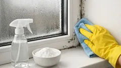 Schimmel am Fenster entfernen: so klappt’s mit Essig und Natron ganz ohne Chemiekeule