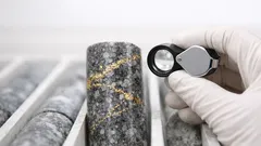 Goldfund in Suriname: warum 11,88 g/t Au im Guayana-Schild jetzt für Aufmerksamkeit sorgen