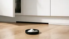 Natron und Zucker gegen Kakerlaken: so funktioniert der einfache Köder in der Küche