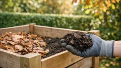 Herbstlaub richtig nutzen: So wird aus Blättern wertvoller Laubhumus